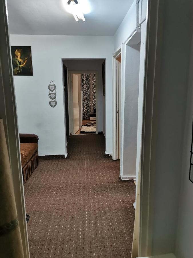 Apartament Maysa クルージュ＝ナポカ エクステリア 写真