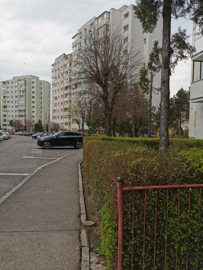 Apartament Maysa クルージュ＝ナポカ エクステリア 写真
