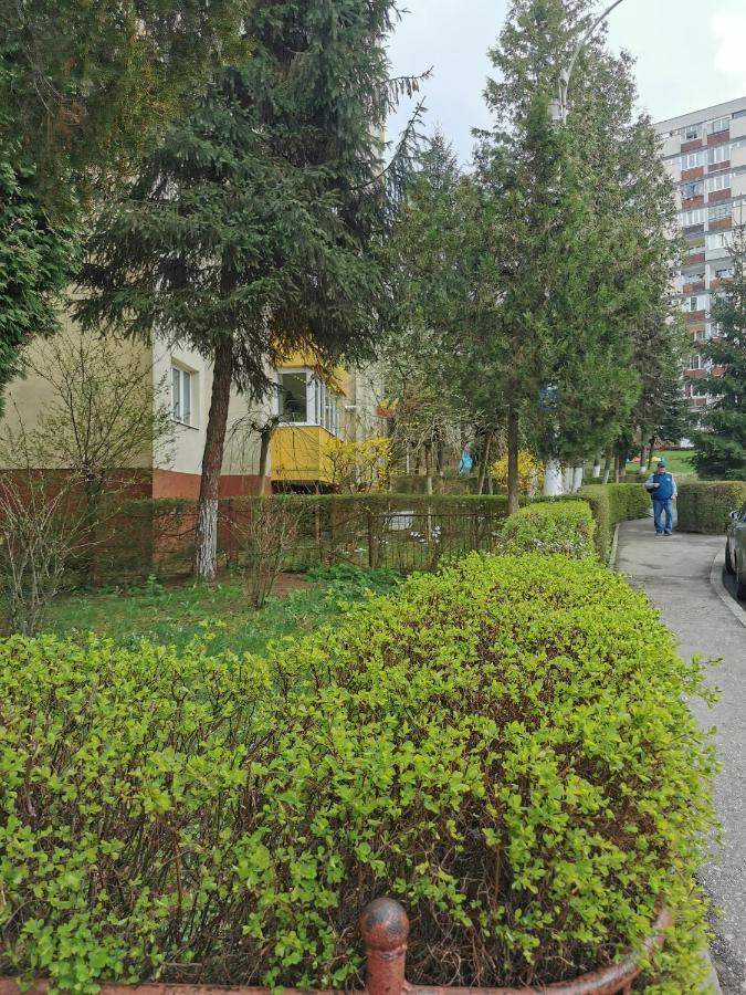 Apartament Maysa クルージュ＝ナポカ エクステリア 写真