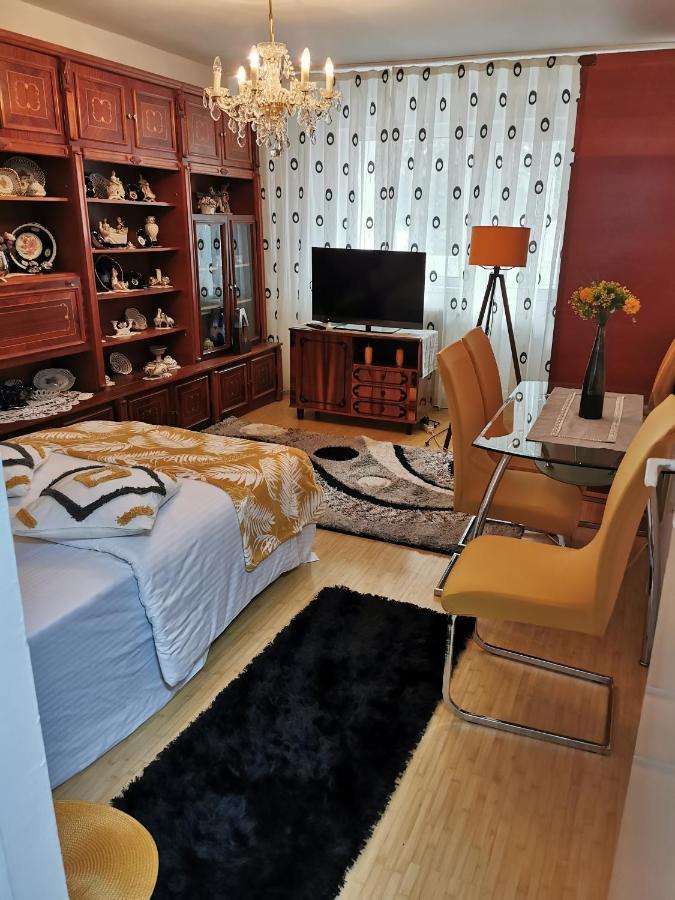 Apartament Maysa クルージュ＝ナポカ エクステリア 写真